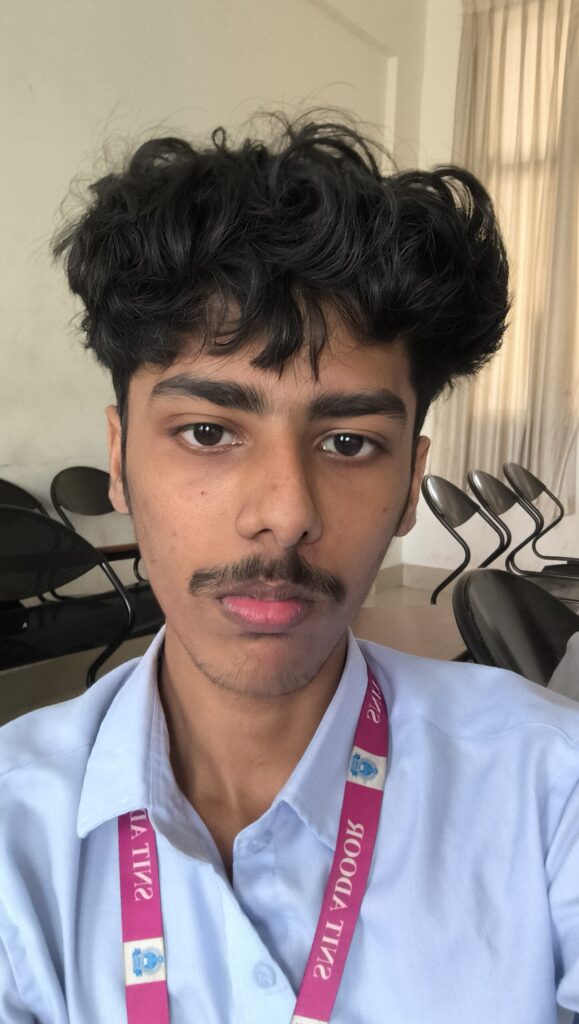 strawhat sayanth