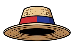 StrawHat Hackers